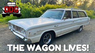 Were Growing Our Own Revival Projects 1966 Dodge Coronet Station Wagon Freed From The Bushes [upl. by Leahcim961]