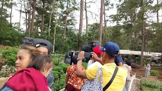 Part 2 BOTANICAL GARDEN Baguio City [upl. by Clarie]