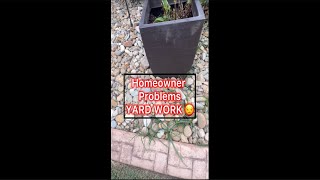 Homeowner Problems YARD WORK 😒 [upl. by Margo390]