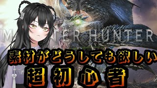 【モンスターハンターワールドMHWIB】救済装備脱出目指す超初心者ハンター！【参加型】 [upl. by Auqined119]