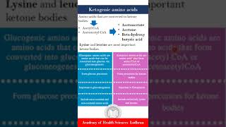 Ketogenic Amino acids  Biochemistry  by Imran Yaseen [upl. by Haimrej]