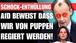 Die AfD HAT DEN BEWEIS 🚨 Dieses VIDEO könnte ALLES verändern Entsetzlich [upl. by Aryc58]