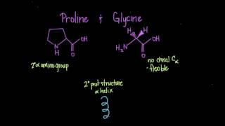 Special Cases Histidine Proline Glycine Cysteine [upl. by Still463]