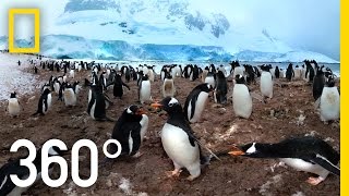 360° Antarctica  Unexpected Snow  National Geographic [upl. by Colleen]