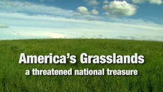 Americas Grasslands A Threatened National Treasure [upl. by Colleen]