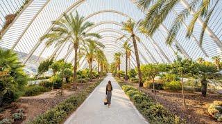 Recorre la ciudad de València un destino único acogedor y sorprendente MediterráneoEnAcción [upl. by Nedak717]