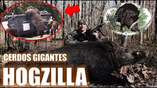 Los Hogzillas Cerdos Salvajes Gigantes  ¿Mutantes o Críptidos  Criptozoología  Riggs [upl. by Artined]