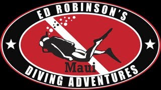 Ed Robinsons Diving Adventures  Kihei Maui Promotion video in 1080HD [upl. by Letnuahs]