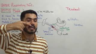 L11 Otitis media Causes symptoms and treatment in Urdu Hindi by Dr A Hadi [upl. by Alana632]