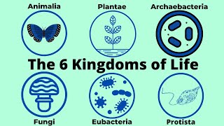 Basic Taxonomy6 Kingdoms of LifeClassification [upl. by Haduhey433]