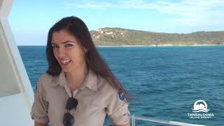 Whale Watching 2019 Season Introduction with Eco Ranger Jess [upl. by Yokoyama]