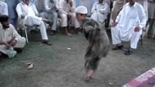 pashto mast dance 2009 [upl. by Yniatirb]