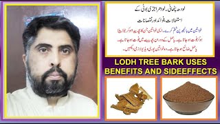 lodh pathanilodhra jaribooti kay fawaid aor nuqsan  lodh tree bark uses benefits and sideeffects [upl. by Acsecnarf168]