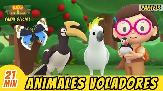 Animales Voladores Episodio Compilación Parte 33 Español  Leo El Explorador  Animación [upl. by Atnad]