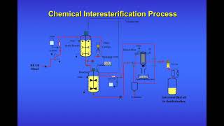 KK Interesterification presentation June 2004 [upl. by Akit]