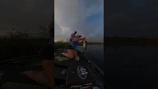 I got him😂🤣 fishing bassfishing lake guides outdoors largemouthbass funny fyp viralvideo [upl. by Adnoryt272]