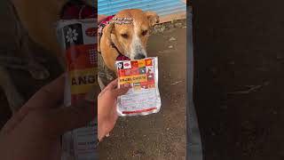 Best human grade dog food by DinoWholeFoods [upl. by Eniron]