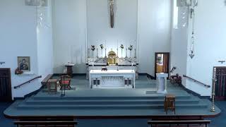 Holy Mass 10am Live  Saturday 12th October 2024 [upl. by Plunkett]