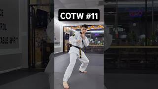 Combo of the Week 11  taekwondo kicking shorts [upl. by Otxis]