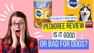 The Pedigree Dog Food Review Is It Good Or Bad For Dogs [upl. by Donall377]