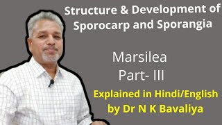 Structure and Development of Sporocarp and Sporangia of Marsilea by Dr N K Bavaliya Principal [upl. by Gaspar]