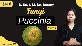 Fungi  Puccinia Part1  in Hindi  Botany  B Sc amp M Sc [upl. by Yorgen]