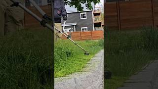 Fills Lawn Care Compilation 2 fyp satisfying lawncare [upl. by Kast101]