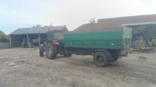 ciężki wyjazd pod górę case 4230 vs 11 ton [upl. by Ttehr]