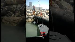 Al Marjan Island UAE VanOord Project Offshore Crane Operator [upl. by Phillip]