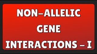 Nonallelic Gene Interactions  I [upl. by Buerger663]