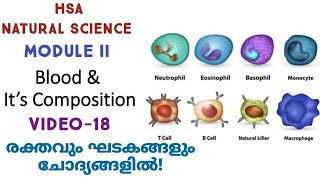 CirculationHSA NATURAL SCIENCEKTET 3SET [upl. by Cirdor]