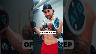 💥The Zottman Curl BicepWorkout ArmDay Curls StrengthTraining MuscleGrowth ChestDay [upl. by Giacomo]