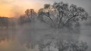 Leonid Kogan  Debussy  Il pleure dans ma coeur from Ariettes oubliées [upl. by Barry]