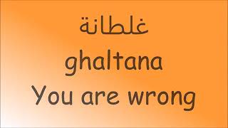 Saad Lamjarred Ghaltana Lyrics Video with English [upl. by Pollock]