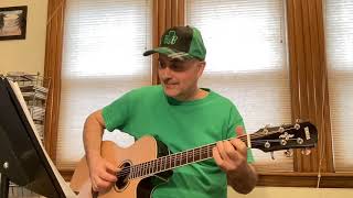 Avondale Botany Bay Fingerpicking Irish Songs [upl. by Neeneg]