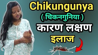 Chikungunya  चिकनगुनिया   Causes Symptoms Treatment [upl. by Notsek]