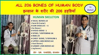 ALL 206 BONES OF HUMAN BODY  इन्सान के शरीर की सभी 206 हड्डियाँ  HUMAN SKELETON IN HINDI anatomy [upl. by Hussey]