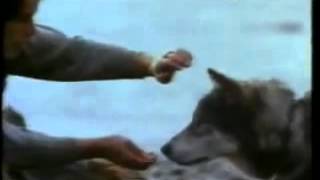 White Fang 1991  Filme Trailer [upl. by Eward]