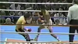 DESTROYED UNDEFEATED BOXER  Humberto Gonzalez vs Rolando Pascua  KO Full Highlight [upl. by Espy]