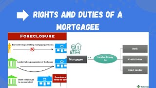 Rights and liabilities of a mortgagee  Transfer of Property Act llb mortgage hindi urdu [upl. by France618]