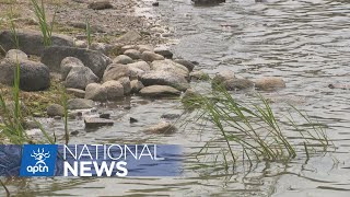 Grassy Narrows being contaminated by wastewater from paper mill  APTN News [upl. by Teagan]