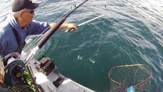 Blackcod fishing on Wendesday  500 meters [upl. by Grassi]