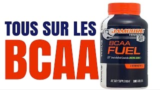 BCAA  COMBIEN  QUAND  RATIO  AVEC QUOI  DOSAGE PRO [upl. by Bopp]