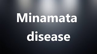 Minamata disease  Medical Definition and Pronunciation [upl. by Doersten]