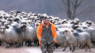 Čobanski konak zimi u planini Braće Melkić iz Bužima [upl. by Chapel837]