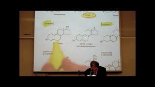 PHARMACOLOGY ACTIONS amp USES OF CORTICOSTEROIDS by Professor Fink [upl. by Senhauser548]