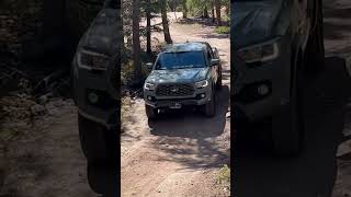 Taking the Tacoma on the trails 🏔️tacoma toyotatacoma colorado [upl. by Nadine]