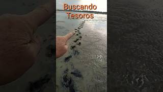 Buscadores de tesoros Detección de Metales 💍👨‍🦯 deteccionmetalica [upl. by Llenehc]