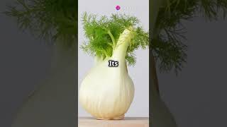 Why You Should Be Eating More Fennel [upl. by Aytida]