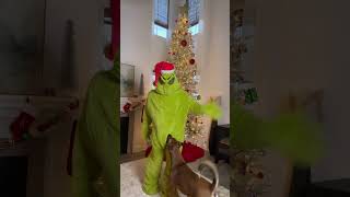 Grinch vs his dog funny shorts christmas [upl. by Heilner]